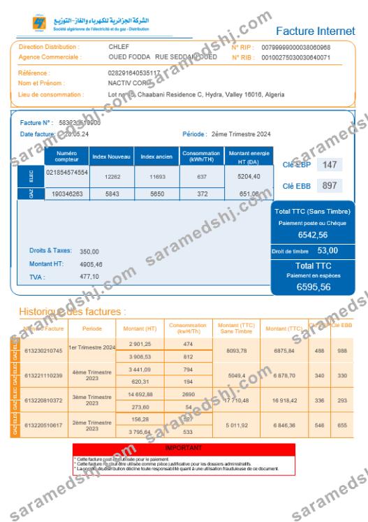 Algeria Societe Algerien Distribution internet business utility bill Word and PDF template